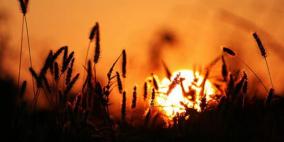 الطقس: الحرارة أعلى معدلها السنوي حتى الإثنين