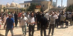 اكثر من مئة مستوطن يقتحمون المسجد الأقصى