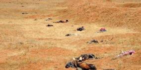 مصدر سوري: صفقة للإفراج عن مختطفي السويداء من قبضة داعش