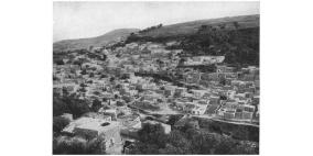 قصة قرية شعب