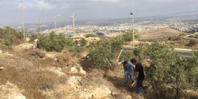 الاحتلال يغلق "خلة سلامة" غرب الخليل