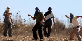 تدمير مئات الأشجار.. إرهاب المستوطنين يتواصل في مدن الضفة 