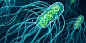 الأدوية الشائعة قد تصبح غير فعالة بحلول 2050