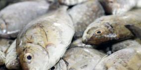 تناول الأسماك يحد من إصابة الأطفال بالربو