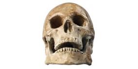 العلماء يكتشفون جمجمة عمرها أكثر من 10 آلاف عام في الصين