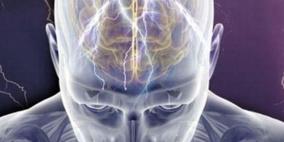 علماء أمريكيون يكتشوف وسيلة لنقل الذكريات من شخص لآخر​