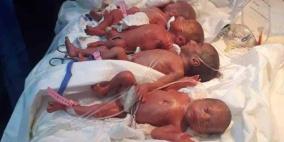 صور.. عراقية تضع 7 توائم في "ولادة طبيعية" نادرة