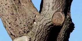 مصوّر يتحدى أصحاب العيون الثاقبة لرؤية الطائر في الصورة