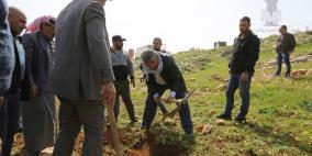 هيئة مقاومة الجدار تشارك بفعالية لزراعة أشجار الزيتون في بني نعيم