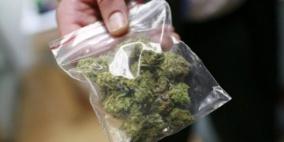 الوقائي يضبط ألف بذرة "ماريغوانا" في نابلس