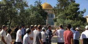 "جماعات الهيكل" تدعو لاقتحامات واسعة للمسجد الأقصى غدا