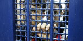 الاسرى يعلنون إنهاء كافة الخطوات التصعيدية 