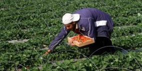 وزير الزراعة: المرحلة المقبلة ستعتمد على اقتصاد مقاوم 