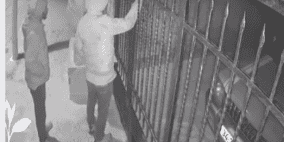 فيديو: عصابة تسرق أكثر من 40 مركبة في محافظة رام الله والبيرة