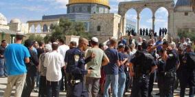 نحو 300 مستوطن يقتحمون الأقصى