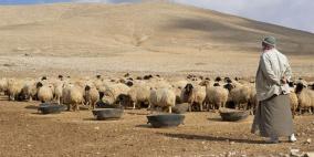 المرصد لحكومة اشتية: واردات الأعلاف لوحدها 2 مليار شيكل في 3 سنوات