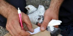 مخالفة "حمامة" تجاوزت السرعة القانونية