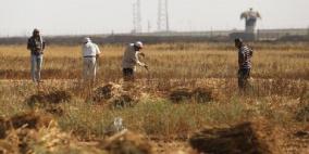 إصابة مزارع  برصاص الاحتلال شرق غزة