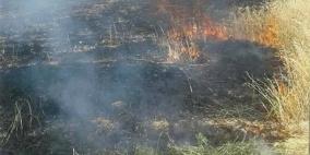 احتراق عشرات الدونمات من المراعي في الأغوار