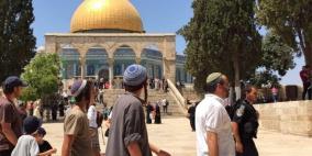 مستوطنون يجددون اقتحامهم للأقصى