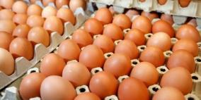 وزارة الزراعة ما اشيع عن انخفاض اسعار البيض غير صحيح