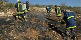 حريق يلتهم مئات أشجار الزيتون غرب جنين