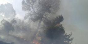 إخماد حريق كبير اتى على مئات الاشجار شمال الخليل 