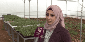 فلسطينية.. الأولى على شباب العرب