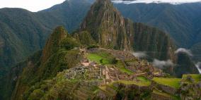 الطبيعة "تفاجئ" العلماء بشجرة اعتقدوا أنها اندثرت