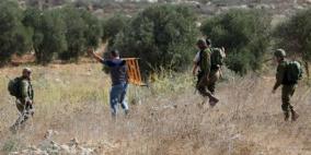 مستوطنون يعتدون على قاطفي الزيتون في جالود