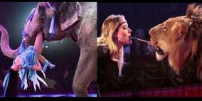 باريس:  حظر عروض الحيوانات البرية في السيرك