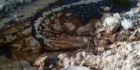 جنين: بحث حلول ألمانية لمشكلة مكب زهرة الفنجان