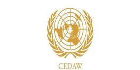 ائتلاف سيداو يستنكر تصريحات نقيب المحامين 