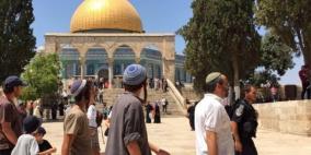 86 مستوطنا يقتحمون الأقصى والعدد مرشح للارتفاع
