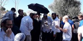 897 مستوطنًا اقتحموا الأقصى خلال الأسبوع الماضي