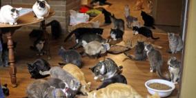 امرأة عاشت في بيتها مع 130 قطة