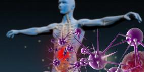 جهاز المناعة..المدافع الأول عن الجسم ضد الفيروسات