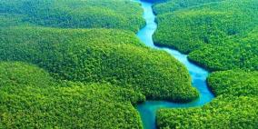 علماء يحذرون من اختفاء رئة الأرض!