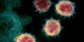 كم هو عمر فيروس كورونا في الهواء وعلى الاسطح؟