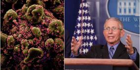 تخوف من عودة فيروس كورونا بشكل موسمي