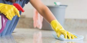 طرق القضاء على الفيروسات في المنزل