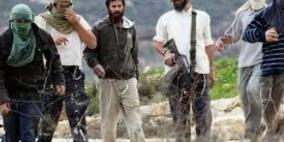 مستوطنون يعتدون على مزارعين وناشط في مسافر يطا