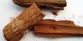 الكينا: فوائد عظيمة لأوراقها وزيتها