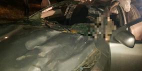 مصرع شاب في حادث اصطدام سيارة بجمل في النقب