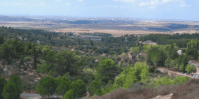 أهالي عمواس يطلقون حملة إعلامية الكترونية في الذكرى الـ53 لتهجيرهم