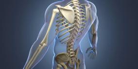 طرق الوقاية من هشاشة العظام