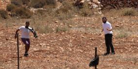 إصابة مواطنين جراء اعتداء مستوطنين عليهما بالضرب في حوارة