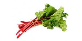 عشبة الراوند..فوائد عديدة ورائعة