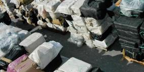 كلب موهوب يكشف شحنة مخدرات بملياري يورو