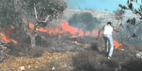 الاحتلال يتسبب باحتراق 14 دونما في المغير